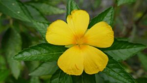 G46756bbe3119c44c19542efe420c28a90b4309db239ca2847796cf78ea4bf5aa89b050bef591fe6b66a469668d3b822415ac017e11574c39289d3901d434c50c 640